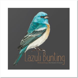 Bird - Lazuli Bunting - birdwatching Posters and Art